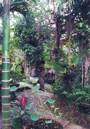 Alam Jiwa's garden